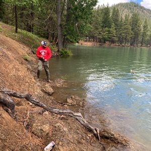 Meet your Posher, Fabian